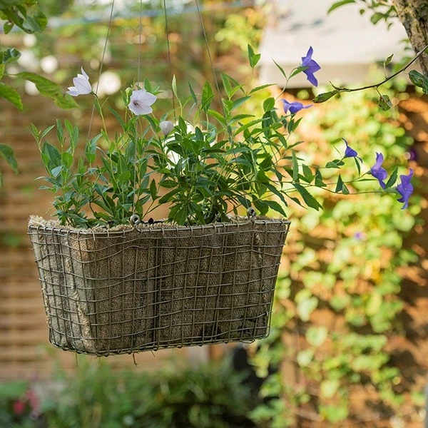 Rectangular Net Hanging Basket 8 Rectangular Net Hanging Basket - Image 8