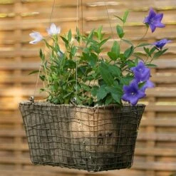 Rectangular Net Hanging Basket 17 Rectangular Net Hanging Basket -Happy Garden pr2000031461 card9 lg