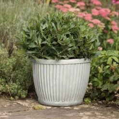 Zinc Dolly Pot -Happy Garden pr2000031492 card4 lg