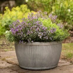 Zinc Dolly Bowl -Happy Garden pr2000031493 card5 lg