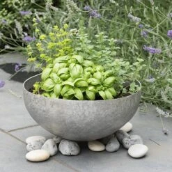 Sphere Plant Bowl -Happy Garden pr2000031495 card3 lg
