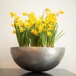 Sphere Plant Bowl -Happy Garden pr2000031495 card6 lg