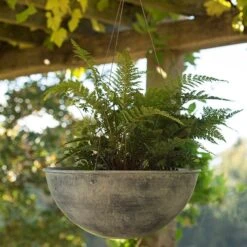 Hanging Bowl - Aged Zinc -Happy Garden pr2000033957 card3 lg