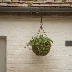 Hanging Tear Drop Basket - Wide -Happy Garden pr2000033989 card3 lg