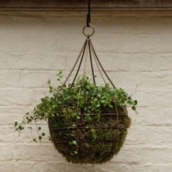 Hanging Tear Drop Basket - Wide -Happy Garden pr2000033989 card4 lg