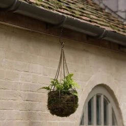 Hanging Tear Drop Basket - Slim -Happy Garden pr2000033990 card5 lg