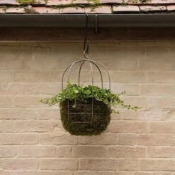 Hanging Plant Cage - Wide -Happy Garden pr2000033991 card4 lg
