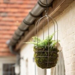 Hanging Plant Cage - Tall -Happy Garden pr2000033992 card3 lg