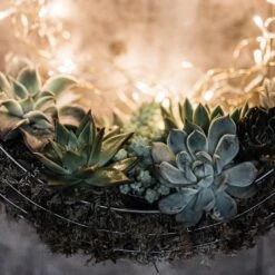 Hanging Wreath Basket -Happy Garden pr2000033995 card3 lg