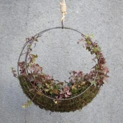 Hanging Wreath Basket -Happy Garden pr2000033995 card6 lg