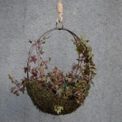 Hanging Wreath Basket -Happy Garden pr2000033995 card8 lg