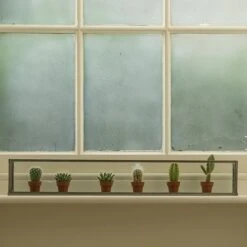 Windowsill Terrarium 5 Windowsill Terrarium -Happy Garden pr2000034004 card3 lg