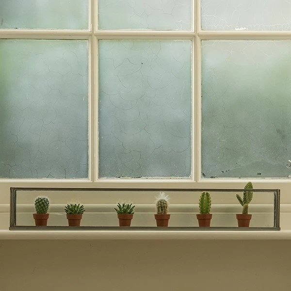 Windowsill Terrarium 3 Windowsill Terrarium - Image 3