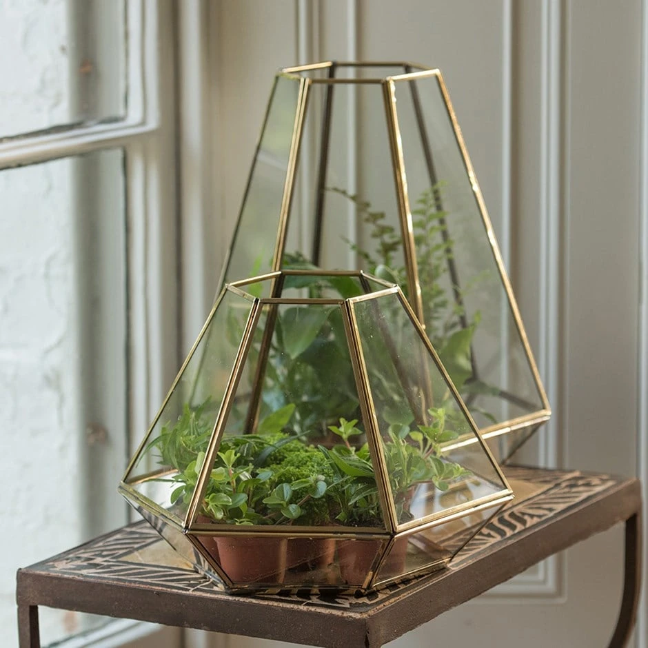 Terrarium With Brass Base Tray 1 Terrarium With Brass Base Tray