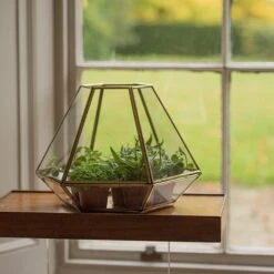 Terrarium With Brass Base Tray 9 Terrarium With Brass Base Tray -Happy Garden pr2000034059 card3 lg