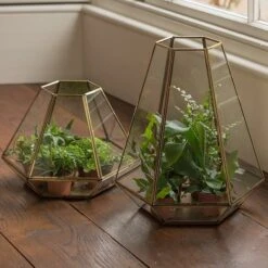 Terrarium With Brass Base Tray 12 Terrarium With Brass Base Tray -Happy Garden pr2000034059 card6 lg