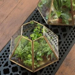 Terrarium With Brass Base Tray 13 Terrarium With Brass Base Tray -Happy Garden pr2000034059 card7 lg