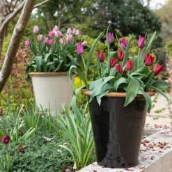 Glazed Terracotta Pot - Black -Happy Garden pr2000034127 card10 lg