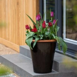 Glazed Terracotta Pot - Black -Happy Garden pr2000034127 card11 lg