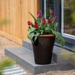 Glazed Terracotta Pot - Black -Happy Garden pr2000034127 card3 lg