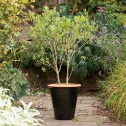 Glazed Terracotta Pot - Black -Happy Garden pr2000034127 card4 lg