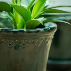 Scalloped Tapered Plant Pot With Saucer - Dark Blue -Happy Garden pr2000035580 card4 lg