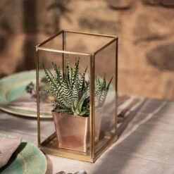 Simple Terrarium / Tealight Holder With Tray Base -Happy Garden pr2000037497 card4 lg