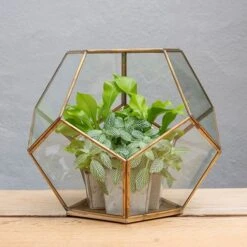 Pentagon Terrarium With Tray Base -Happy Garden pr2000037499 card4 lg