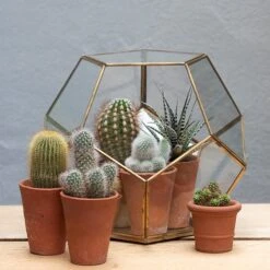 Pentagon Terrarium With Tray Base -Happy Garden pr2000037499 card5 lg