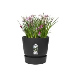 Greenville Round Pot Black -Happy Garden pr2000038224 card3 lg