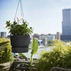 Greenville Hanging Basket Black -Happy Garden pr2000038232 card3 lg