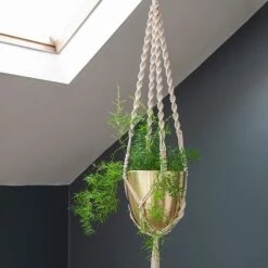 Macrame Hanger With Brushed Brass Pot -Happy Garden pr2000038571 card4 lg
