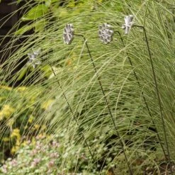 Plant/bulb Marking Stake - Shamrock -Happy Garden pr2000041716 card4 lg