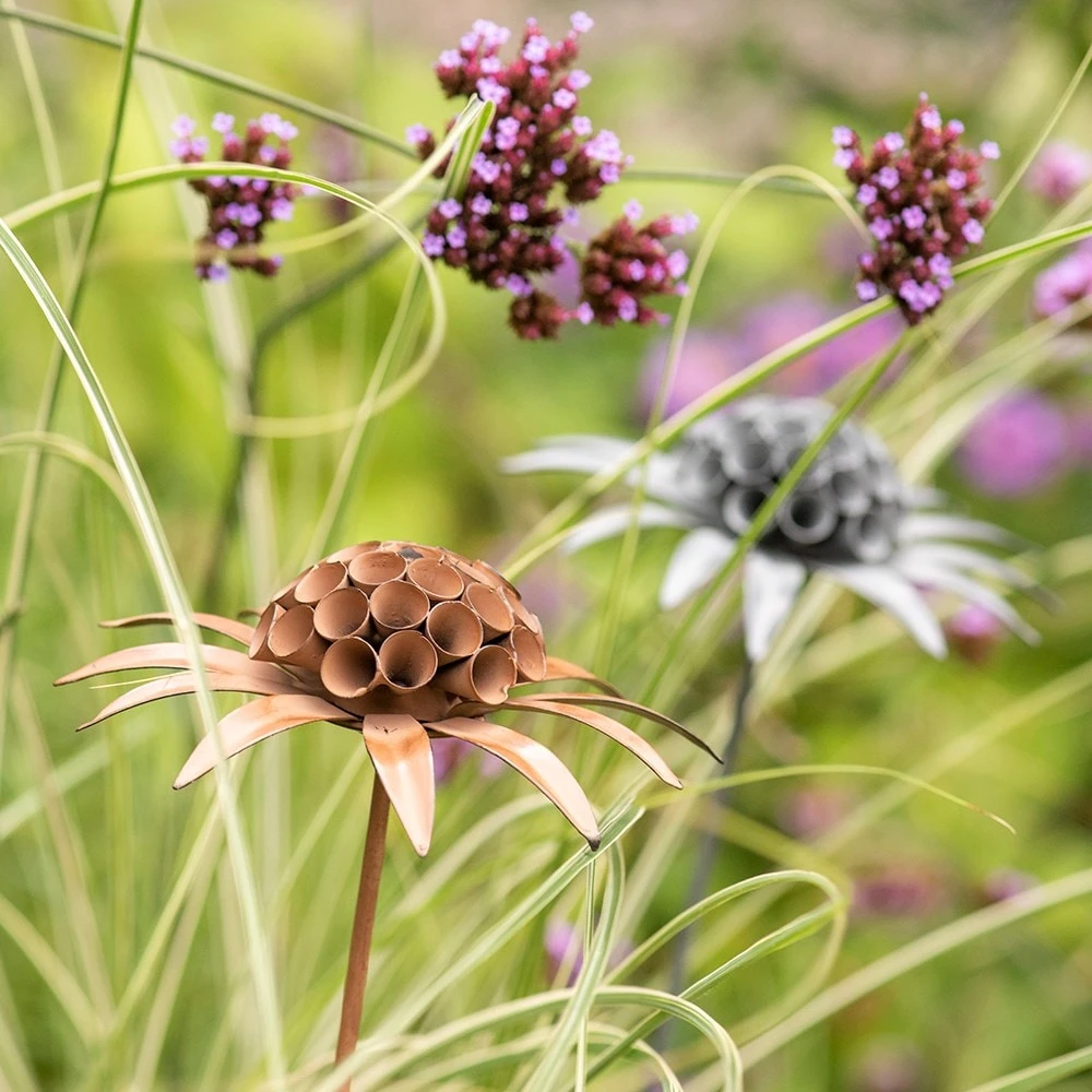 Scabiosa 'deadhead' Stake - Rust 2 Scabiosa 'deadhead' Stake - Rust - Image 2