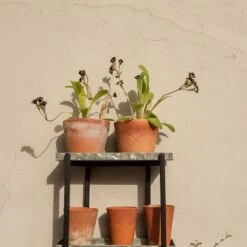 Wall Plant Display -Happy Garden pr2000041734 card5 lg