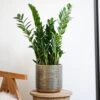 Steel Embossed Plant Pot - Gold