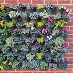 Living Wall Vertical Planting Set - 2.3m2