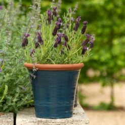 Dark Teal Kitchen Planter 14 Dark Teal Kitchen Planter -Happy Garden pr2000044992 card7 lg