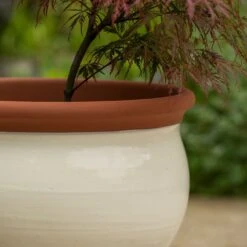 Ivory Bellied Planter -Happy Garden pr2000045026 card3 lg