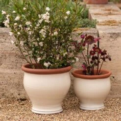 Ivory Bellied Planter -Happy Garden pr2000045026 card7 lg