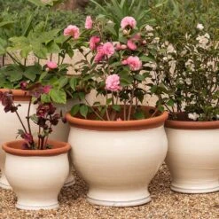 Ivory Bellied Planter -Happy Garden pr2000045026 card8 lg