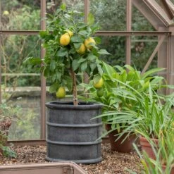 Greystoke Barrel Planter 16 Greystoke Barrel Planter -Happy Garden pr2000046297 card7 lg