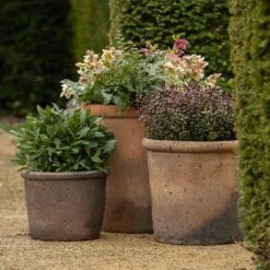 Terracotta Pot - Sandblasted -Happy Garden pr2000046311 card3 lg