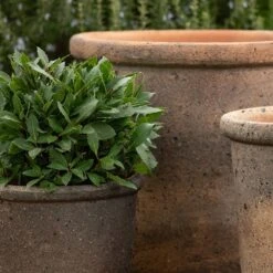 Terracotta Pot - Sandblasted -Happy Garden pr2000046311 card5 lg