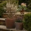 Tapered Terracotta Pot - Sandblasted
