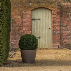 Tapered Terracotta Pot - Sandblasted -Happy Garden pr2000046314 card6 lg