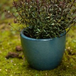 Glazed Terracotta Pot - Reef Blue -Happy Garden pr2000046329 card3 lg