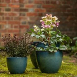Glazed Terracotta Pot - Reef Blue -Happy Garden pr2000046329 card4 lg