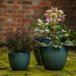 Glazed Terracotta Pot - Reef Blue -Happy Garden pr2000046329 card5 lg