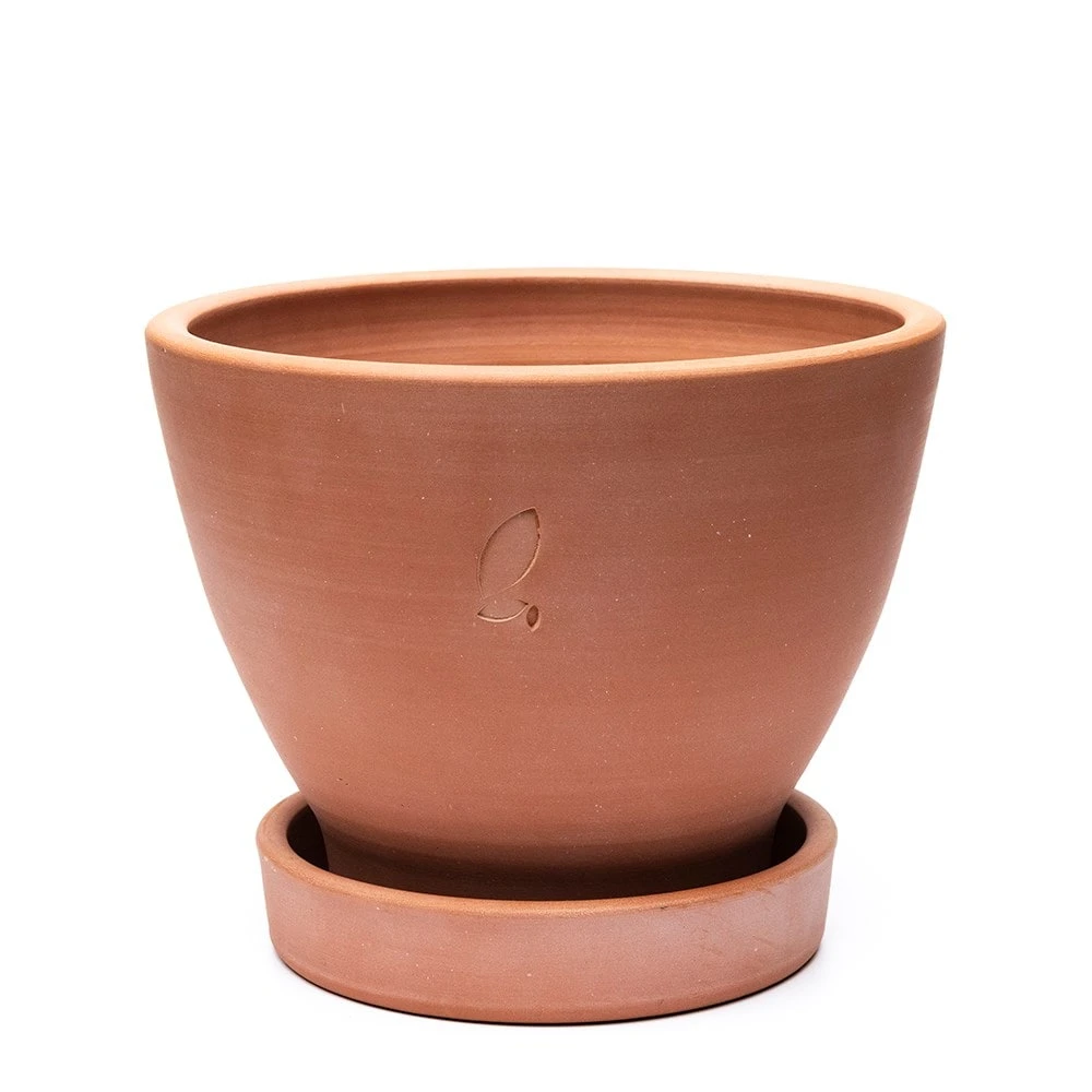 Terracotta Herb Pot And Saucer - Large 2 Terracotta Herb Pot And Saucer - Large - Image 2